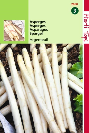 Gemsespargel Argenteuil (Asparagus) 165 Samen